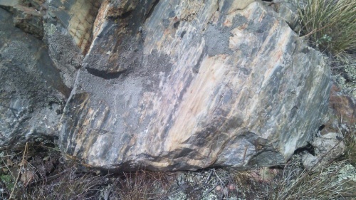 Гигантские зелёные валуны для ландшафтного дизайна весом более 5 тонн купить в Еманжелинске