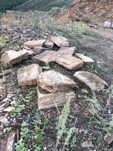 Плитняк кора дерева 50-100мм для пошаговых дорожек купить в Еманжелинске